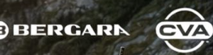 logo bergara